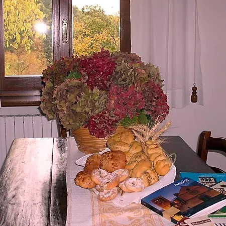 L'oasi 3*