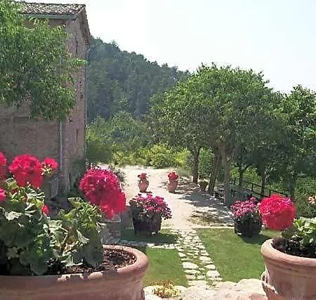 L'oasi